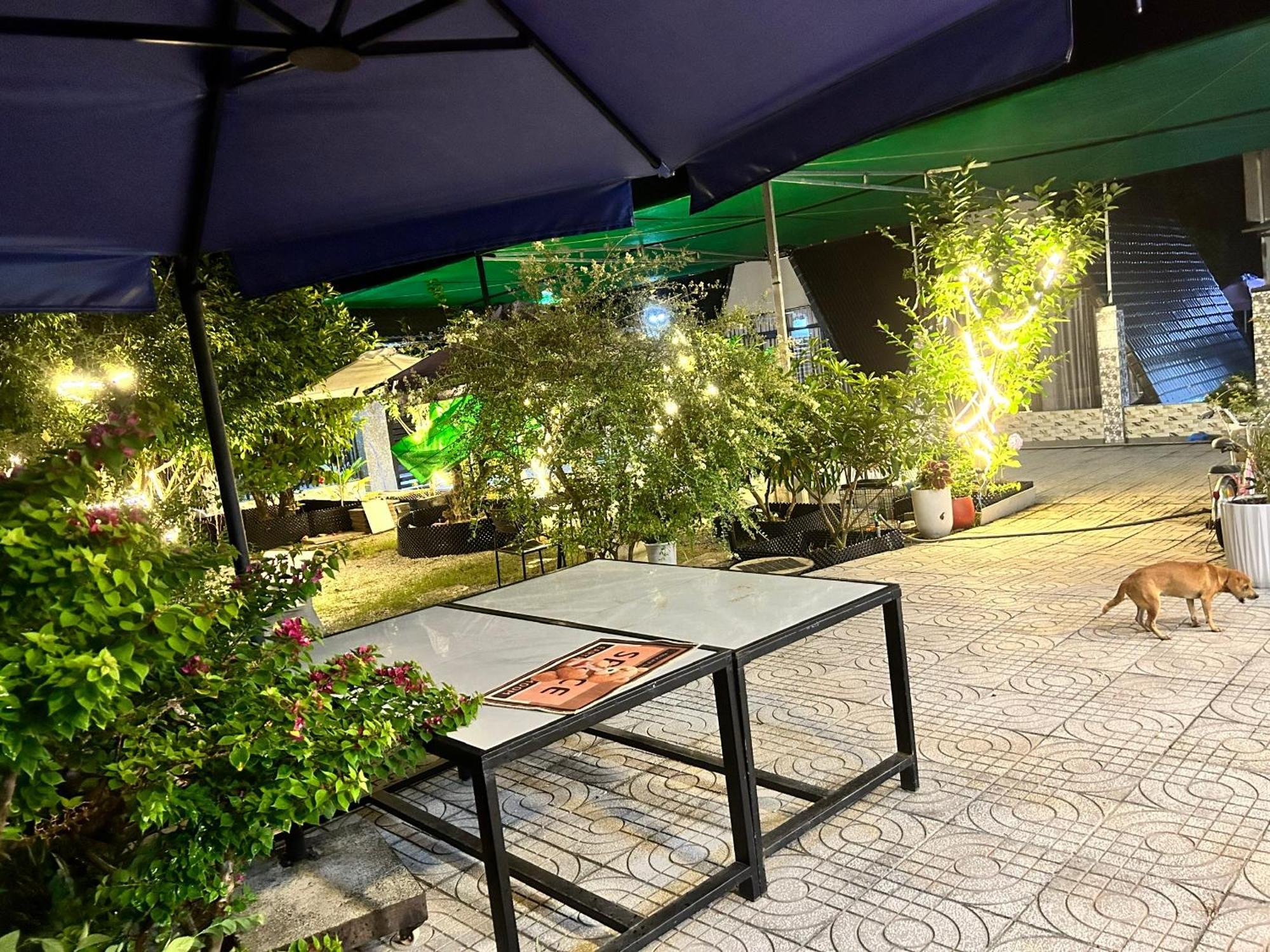 Homestay A Au Family Binh Chau Eksteriør billede